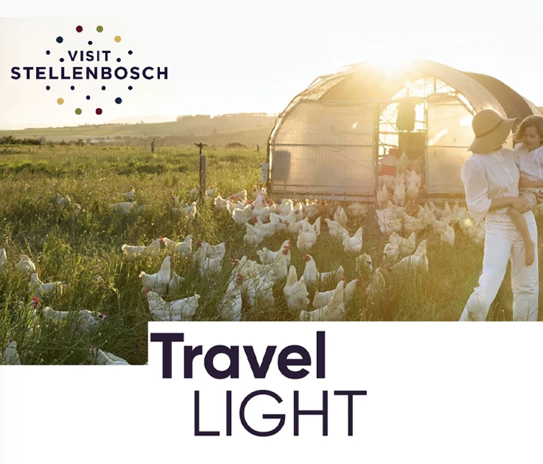 Stellenbosch Takes a Collective Step Towards Sustainable Tourism 1